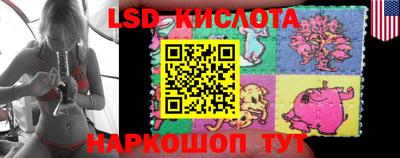 индика Лесосибирск