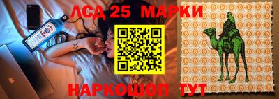 индика Лесосибирск