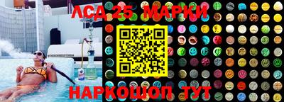 индика Лесосибирск