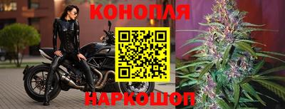 индика Лесосибирск